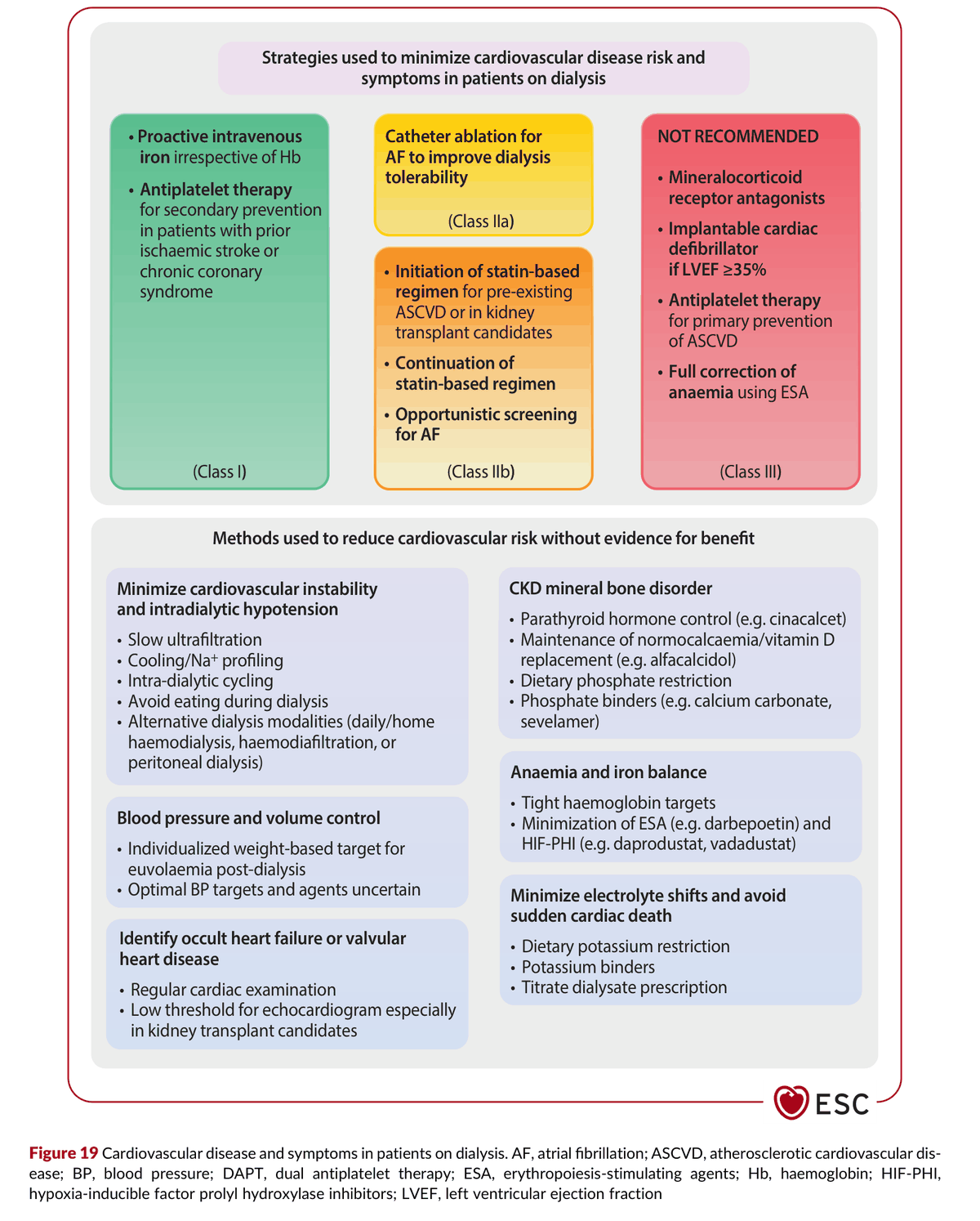 2026 ESC CVD-CKD Guidelines Figure 19 — 透析病人的心血管疾病與症狀