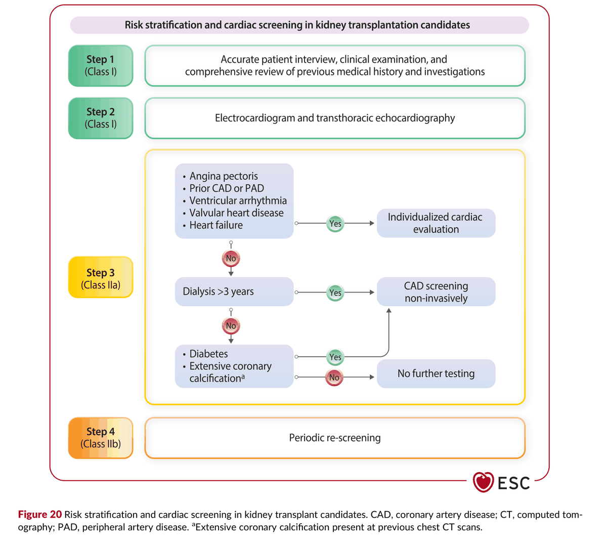 2026 ESC CVD-CKD Guidelines Figure 20 — 腎移植候選者的風險分層與心臟篩檢