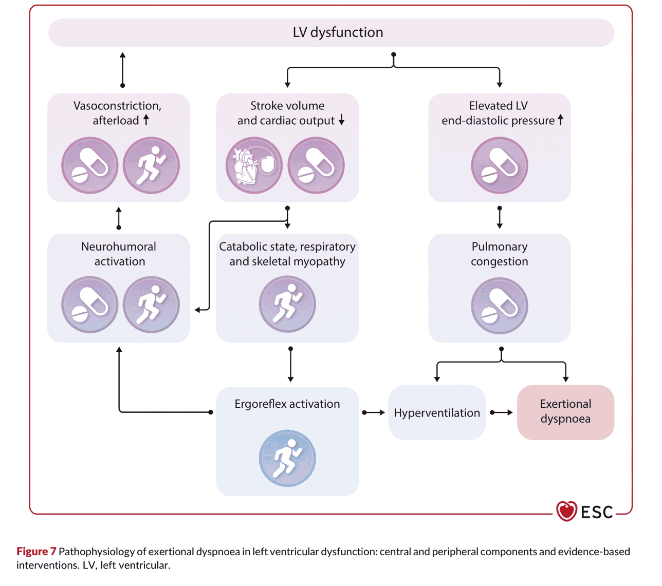 2026 ESC CR — Figure 7 左心室功能不全的運動性呼吸困難病生理