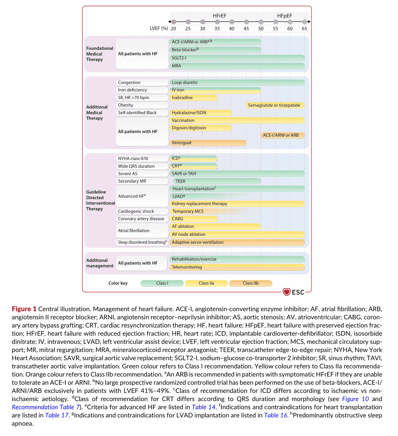 2026 ESC HF Guidelines Figure 1 — Central illustration：心衰竭處置總覽