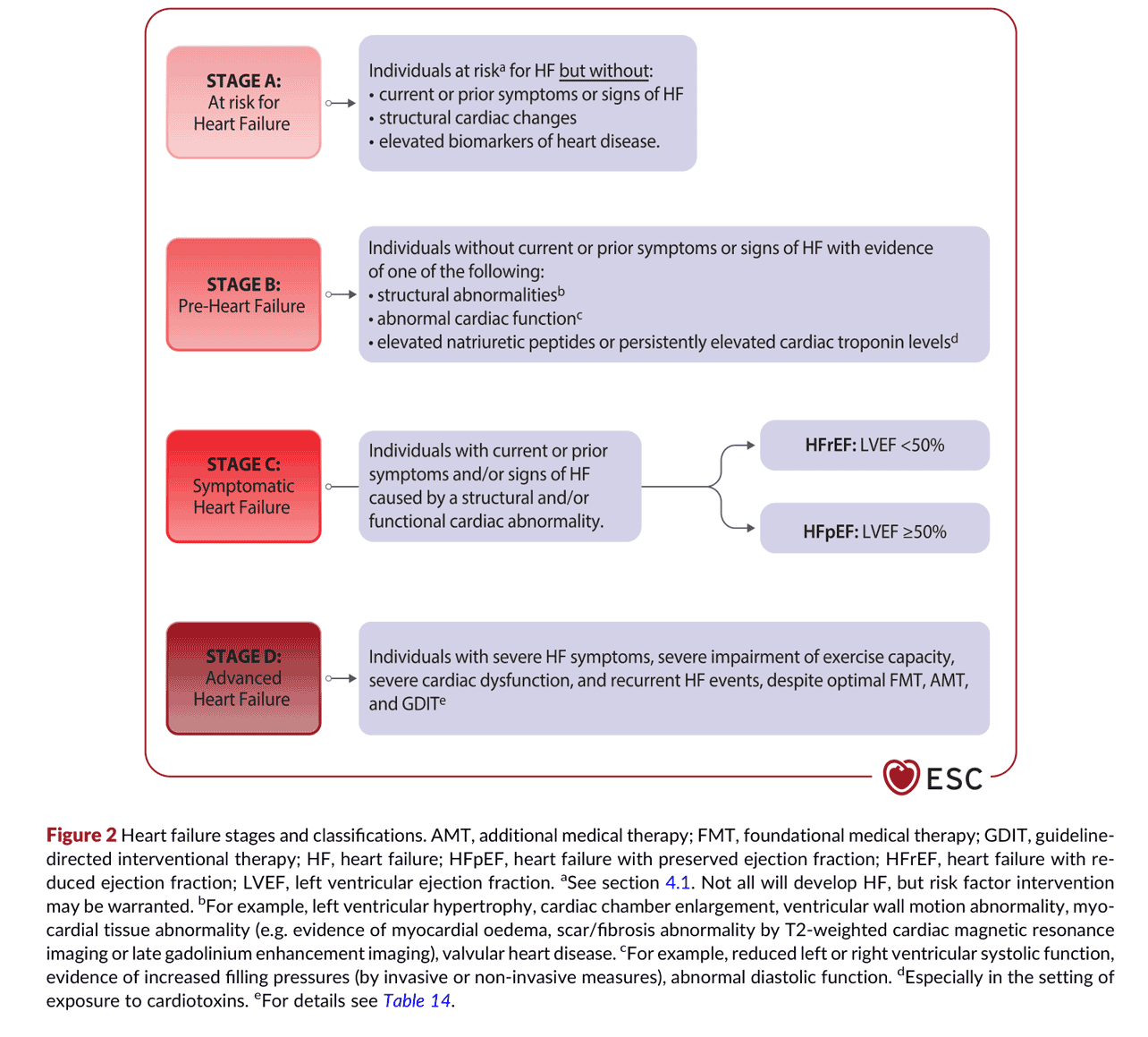2026 ESC HF Guidelines Figure 2 — 心衰竭分期與分類