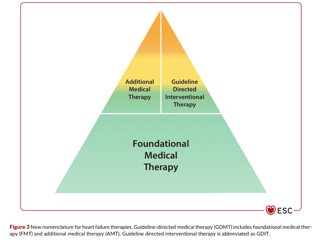 2026 ESC HF Guidelines Figure 3 — 心衰竭治療的新命名法