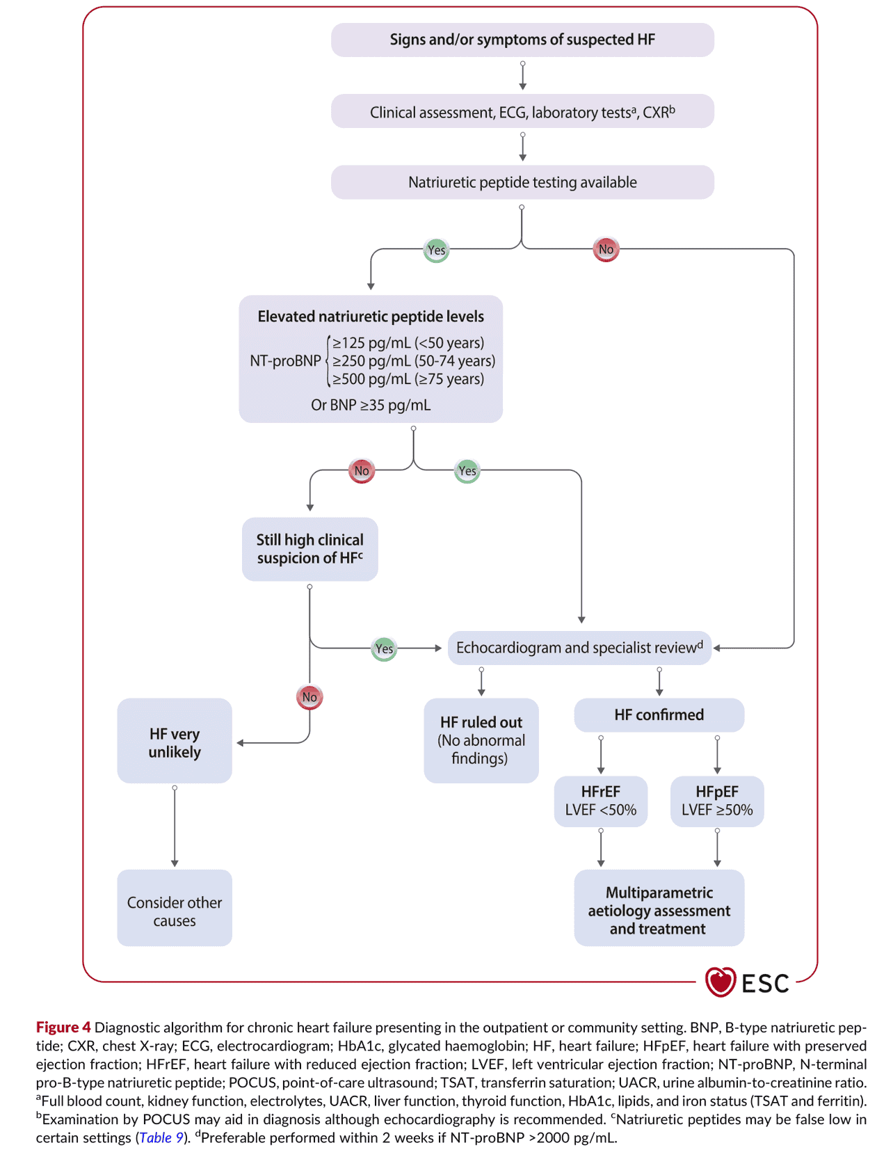 2026 ESC HF Guidelines Figure 4 — 慢性心衰竭診斷流程