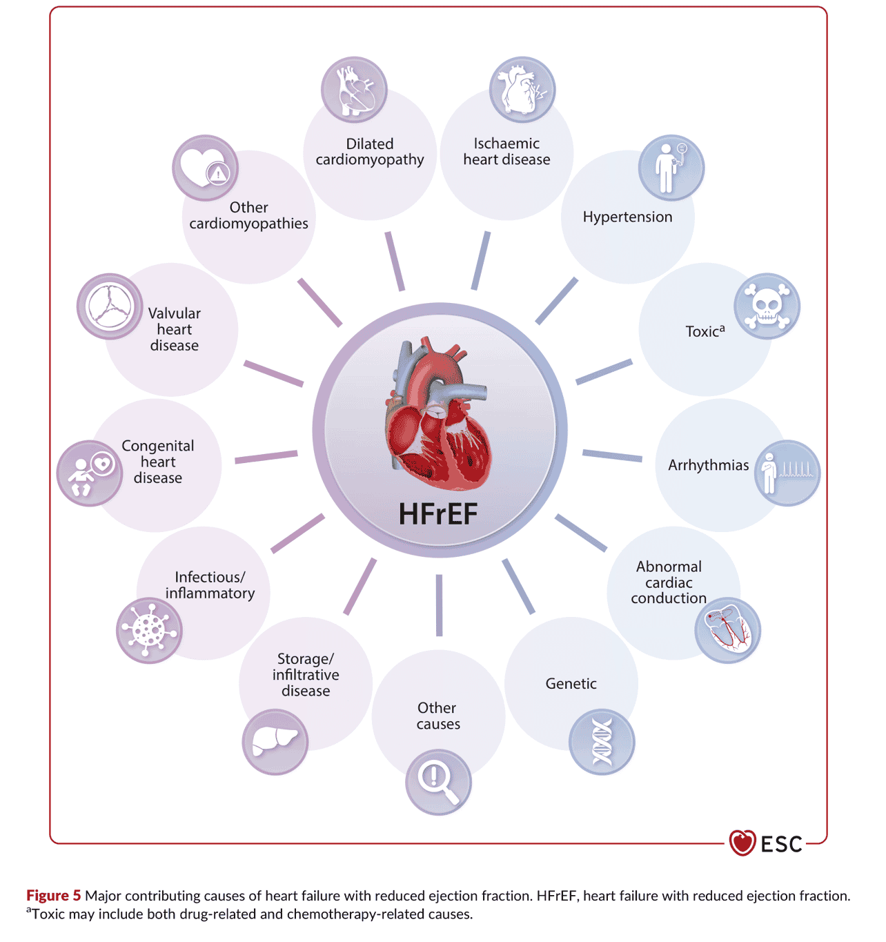 2026 ESC HF Guidelines Figure 5 — HFrEF 的主要成因