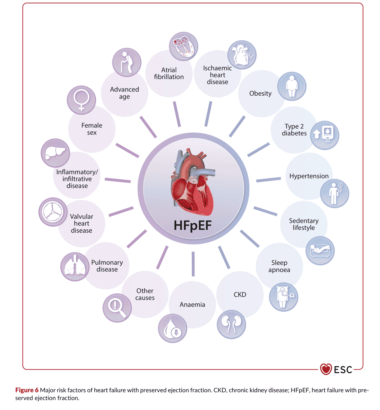 2026 ESC HF Guidelines Figure 6 — HFpEF 的主要風險因子