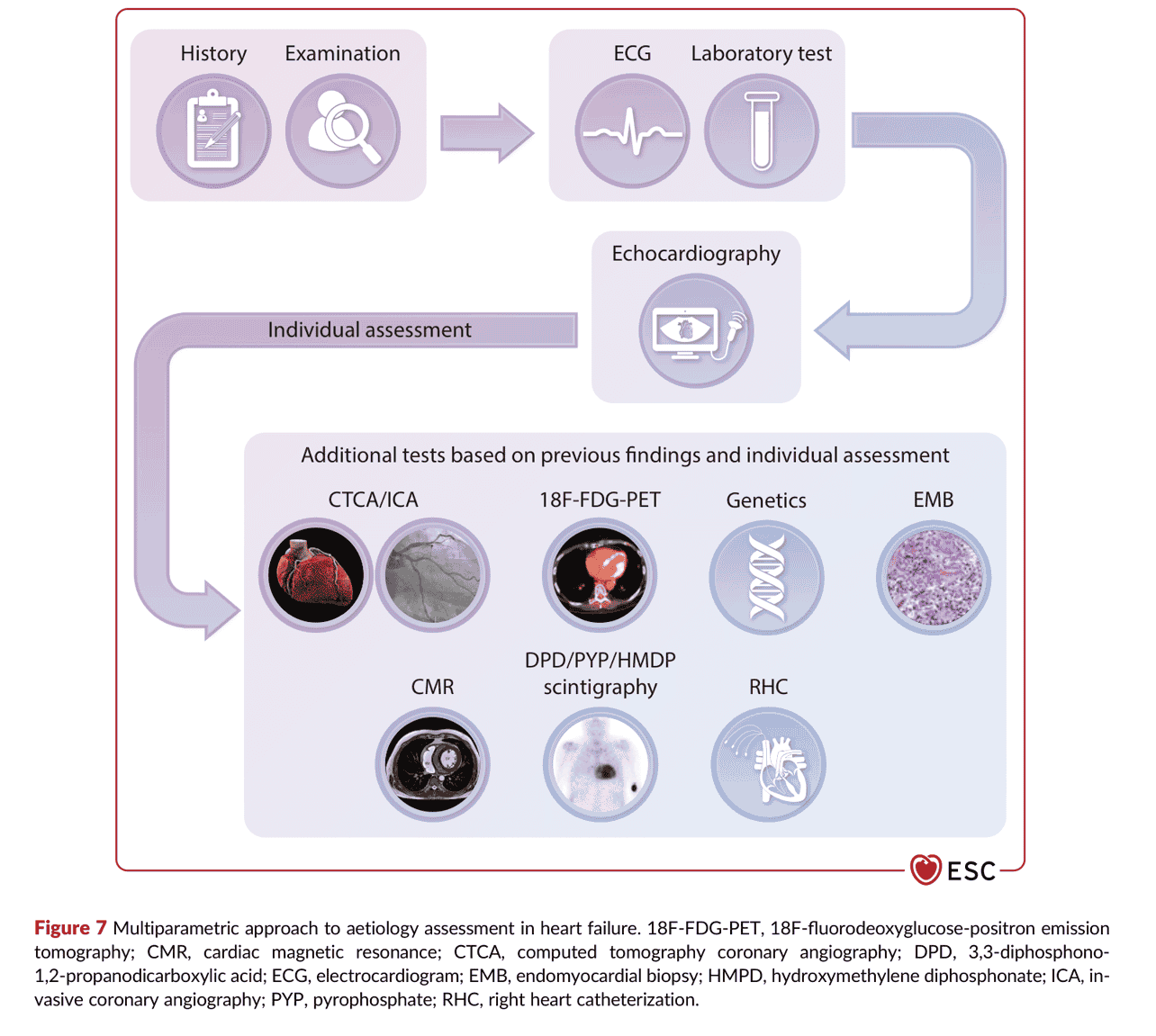2026 ESC HF Guidelines Figure 7 — 心衰竭病因評估的多參數取徑