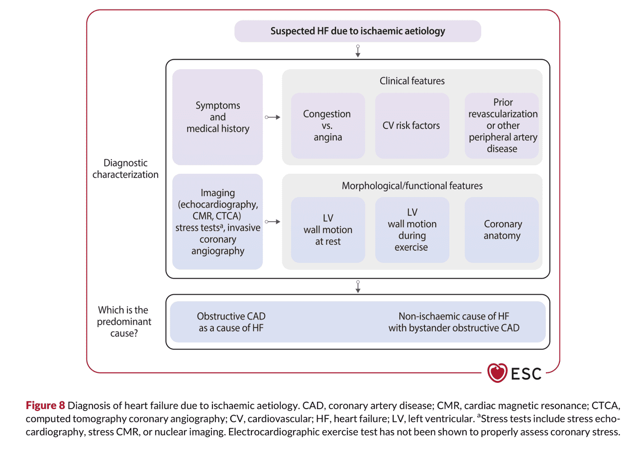 2026 ESC HF Guidelines Figure 8 — 缺血性病因心衰竭的診斷