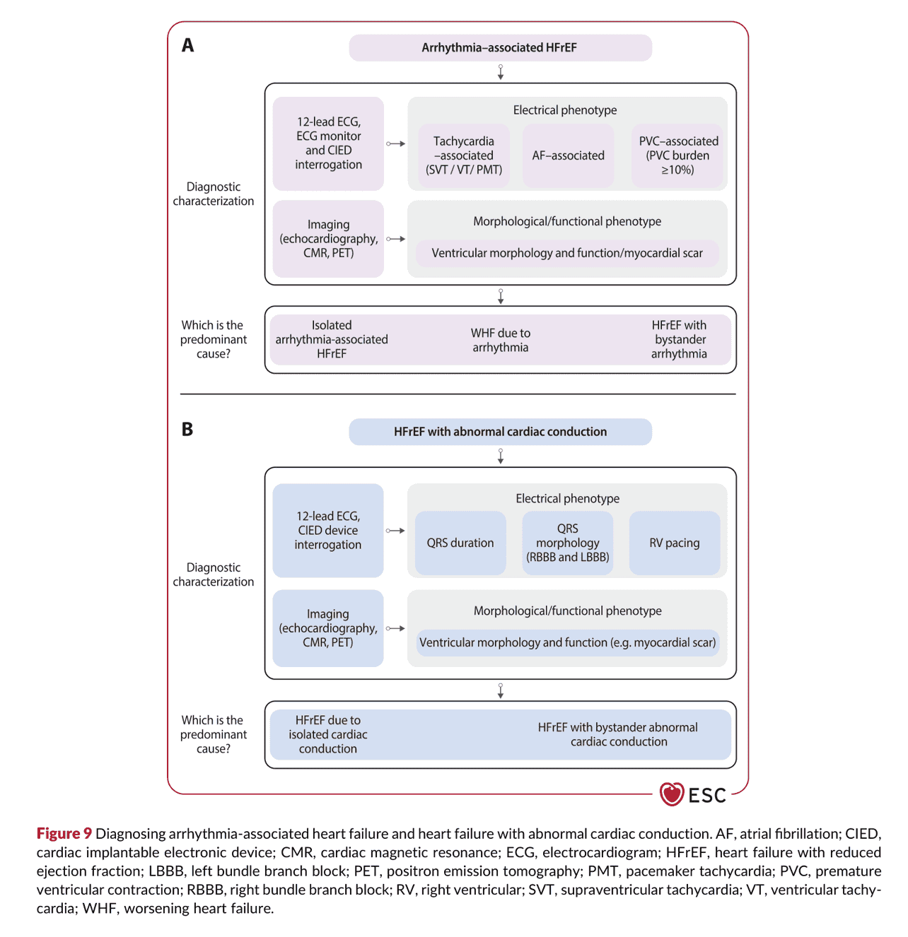 2026 ESC HF Guidelines Figure 9 — 心律不整相關與傳導異常相關心衰竭的診斷