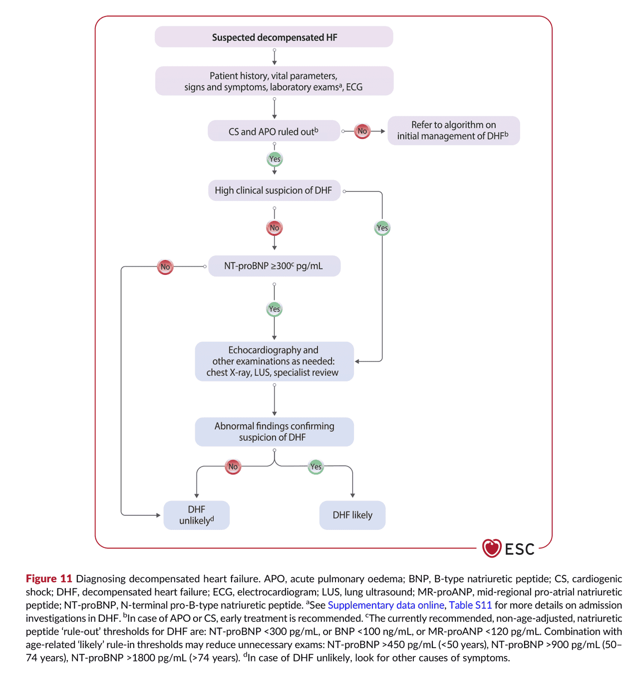 2026 ESC HF Guidelines Figure 11 — Decompensated HF 的診斷