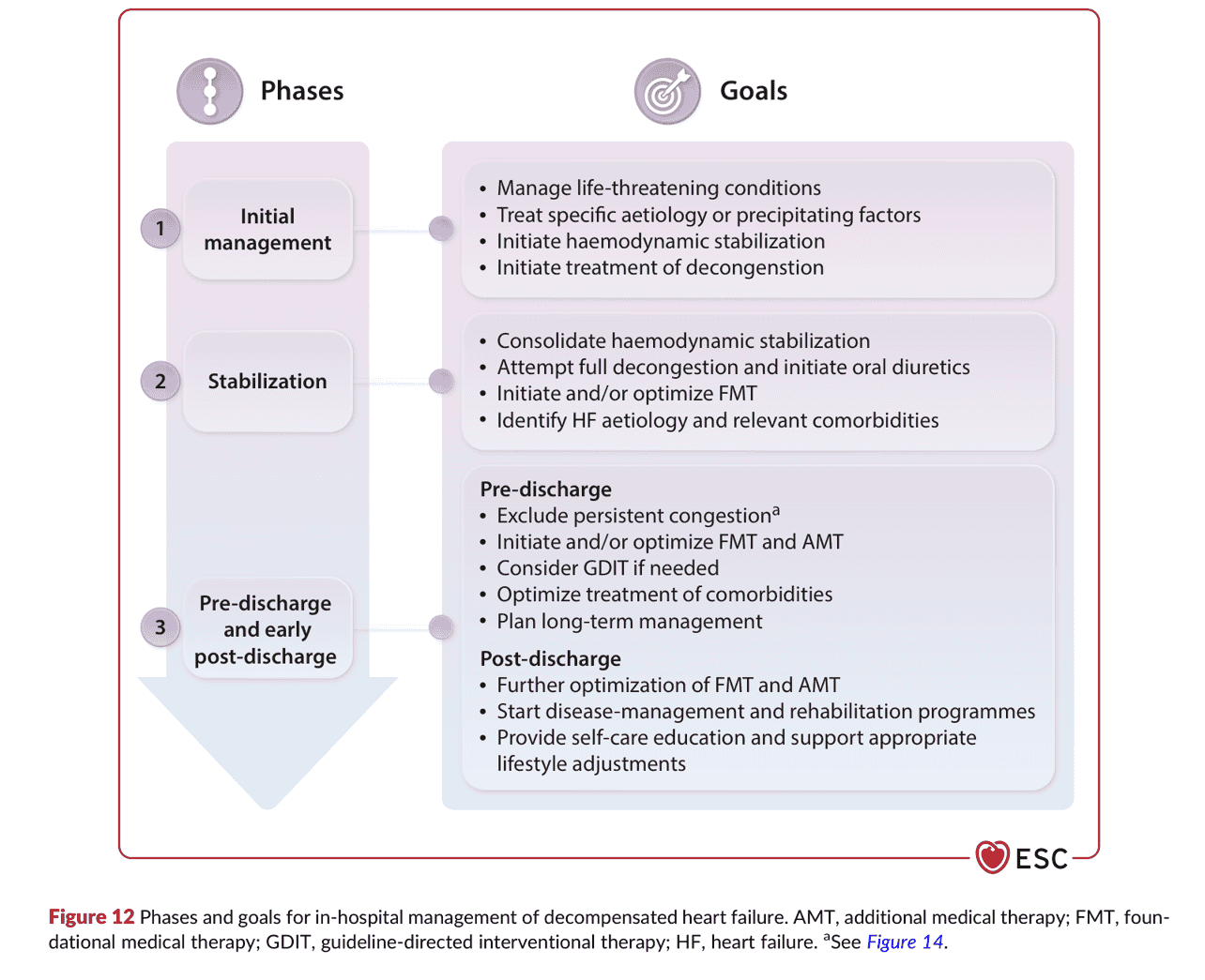 2026 ESC HF Guidelines Figure 12 — DHF 住院處置的階段與目標