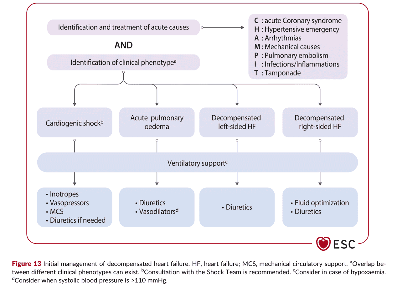 2026 ESC HF Guidelines Figure 13 — DHF 的初始處置