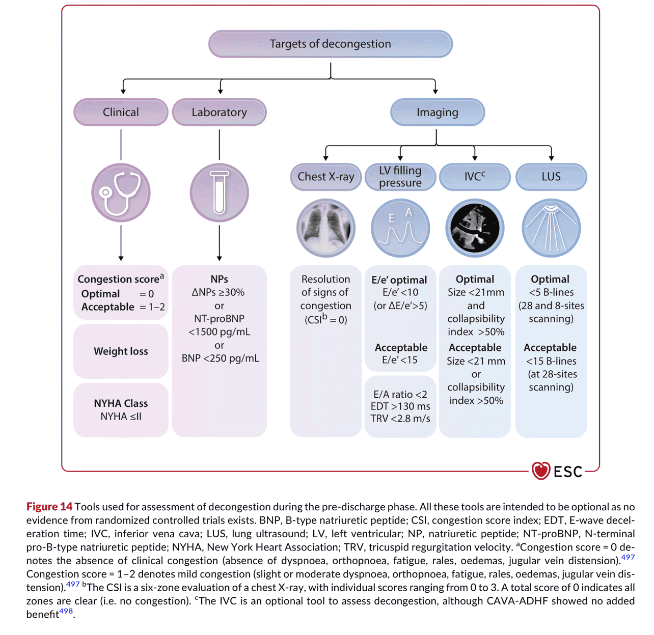 2026 ESC HF Guidelines Figure 14 — 出院前減充血評估工具