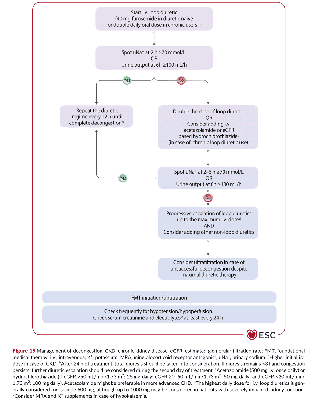 2026 ESC HF Guidelines Figure 15 — 減充血的處置