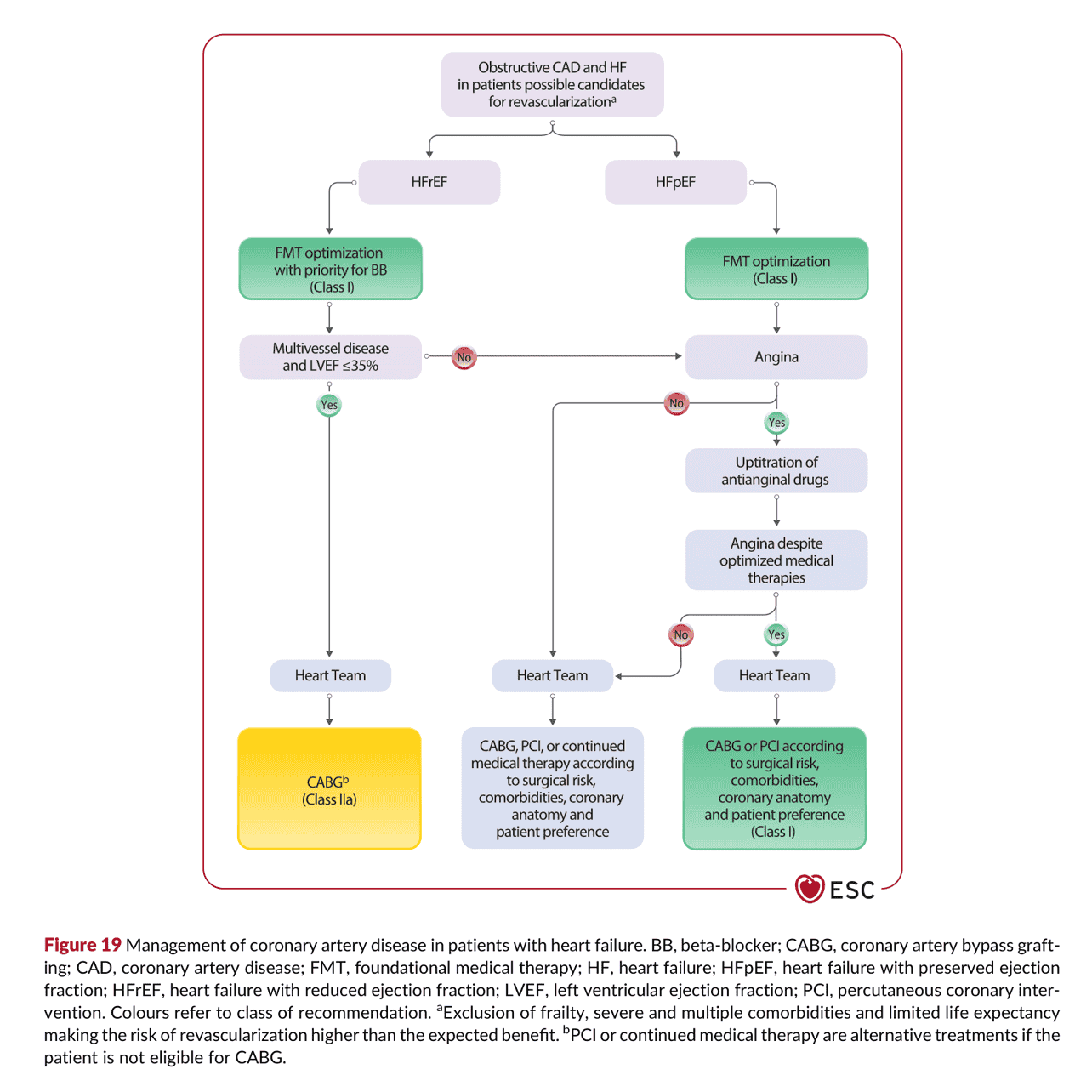 2026 ESC HF Guidelines Figure 19 — 心衰竭病人冠狀動脈疾病的處置
