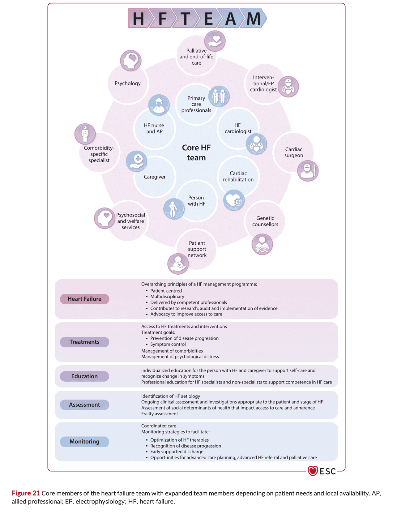 2026 ESC HF Guidelines Figure 21 — 心衰竭團隊的核心與擴展成員