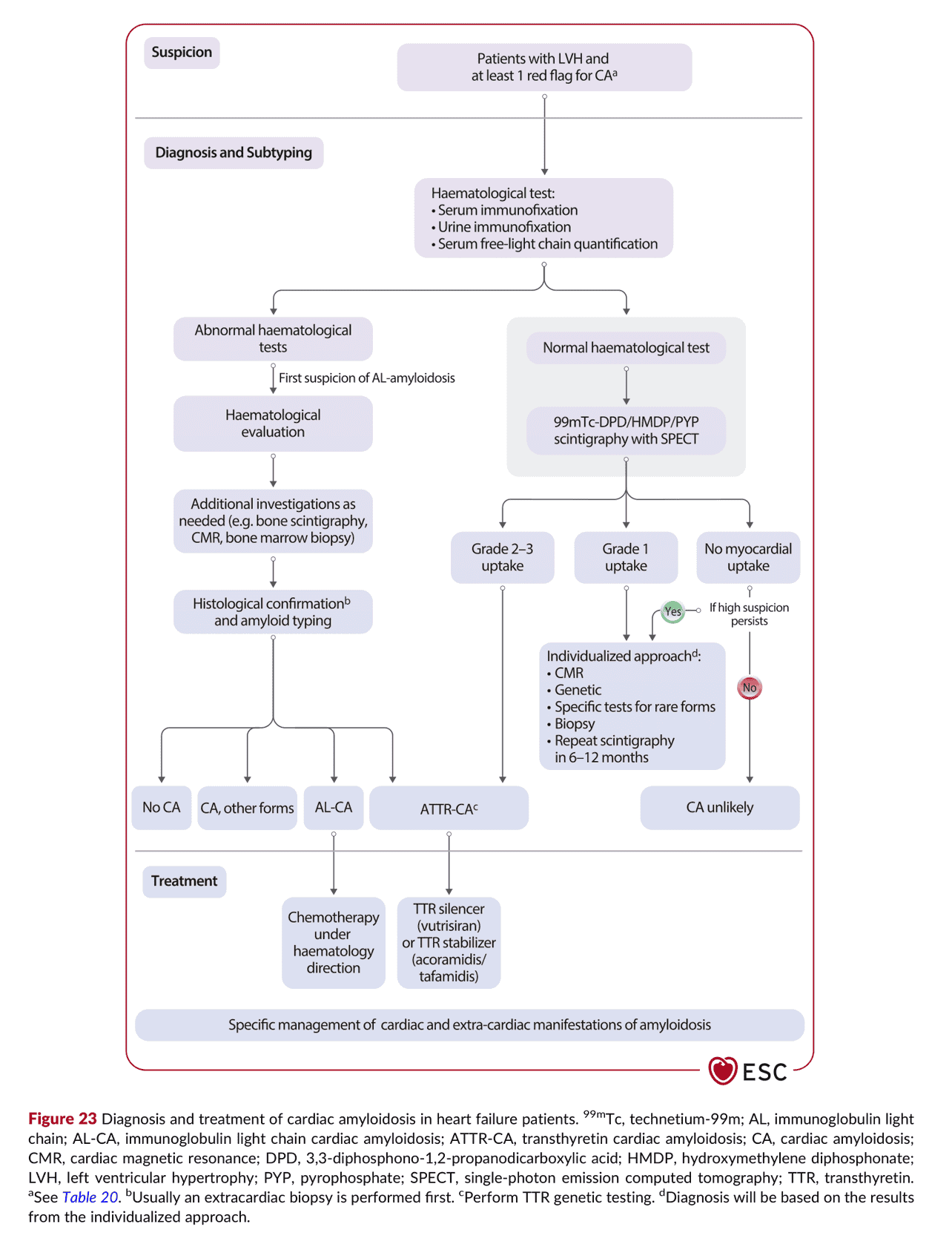 2026 ESC HF Guidelines Figure 23 — 心臟類澱粉沉積的診斷與治療