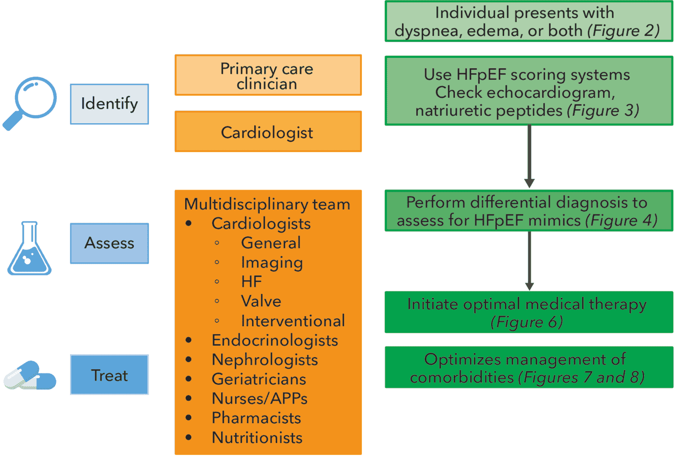 2026 ACC HFpEF ECDP Figure 1 — HFpEF 評估與處置的總覽圖