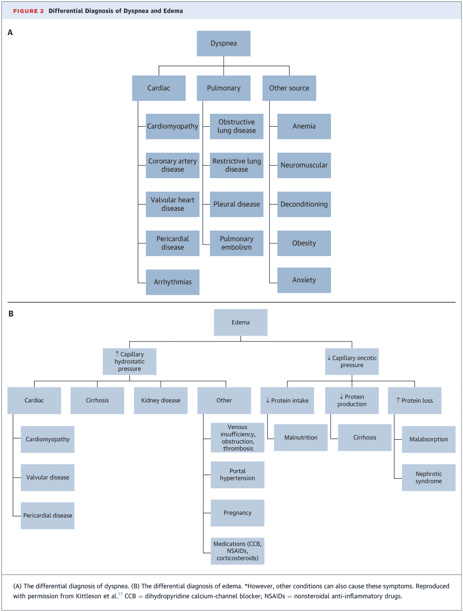 2026 ACC HFpEF ECDP Figure 2 — 呼吸困難與水腫的鑑別診斷