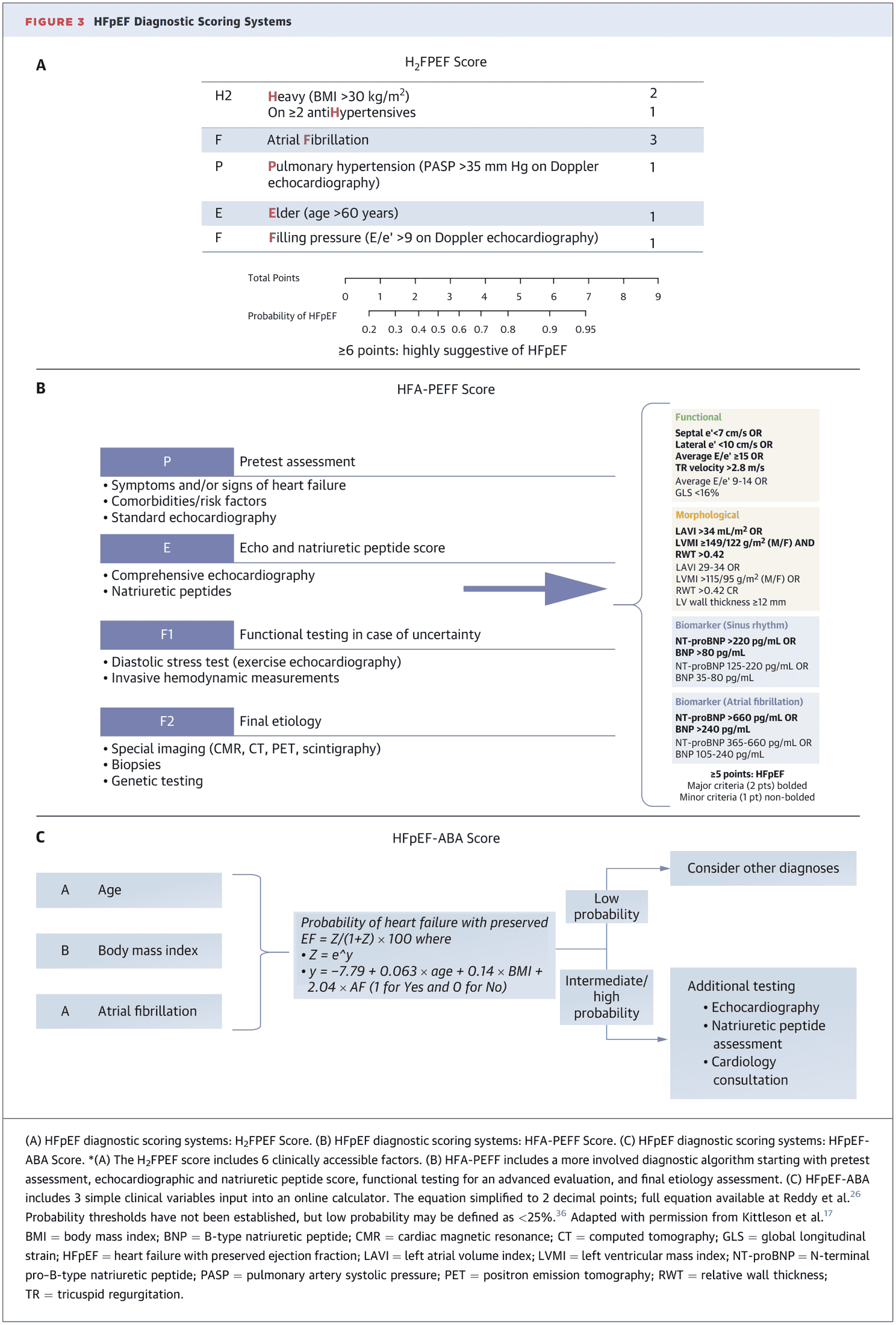 2026 ACC HFpEF ECDP Figure 3 — HFpEF 三個診斷評分系統