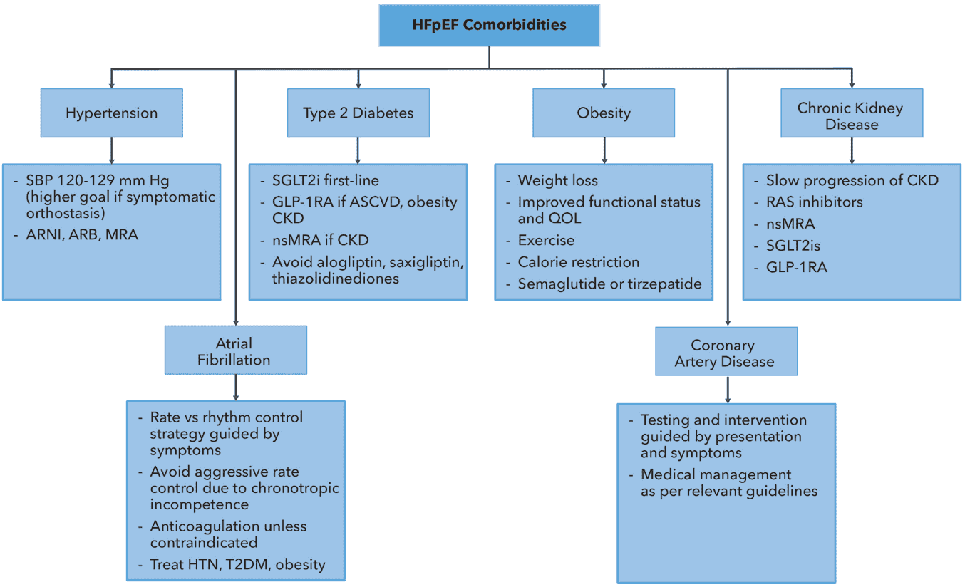 2026 ACC HFpEF ECDP Figure 7 — HFpEF 相關共病的管理