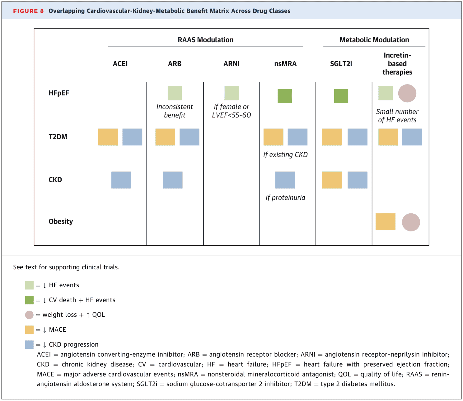 2026 ACC HFpEF ECDP Figure 8 — 各藥物類別橫跨心腎代謝的效益矩陣