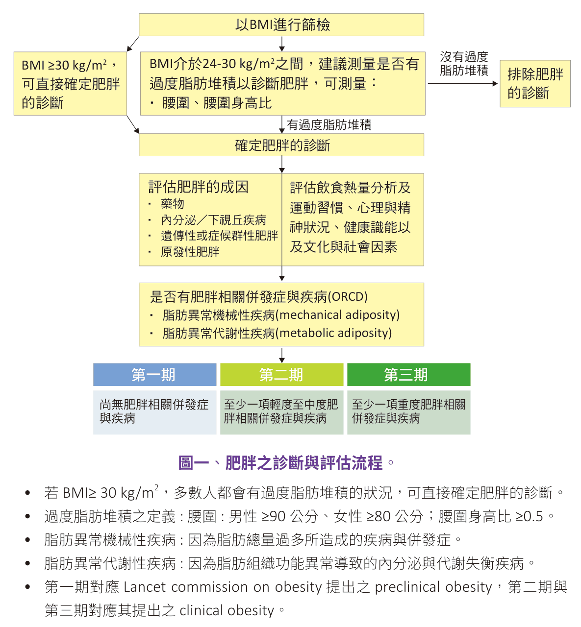 原文圖：肥胖之診斷與評估流程
