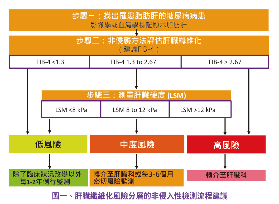 原文圖：肝臟纖維化風險分層的非侵入性檢測流程建議