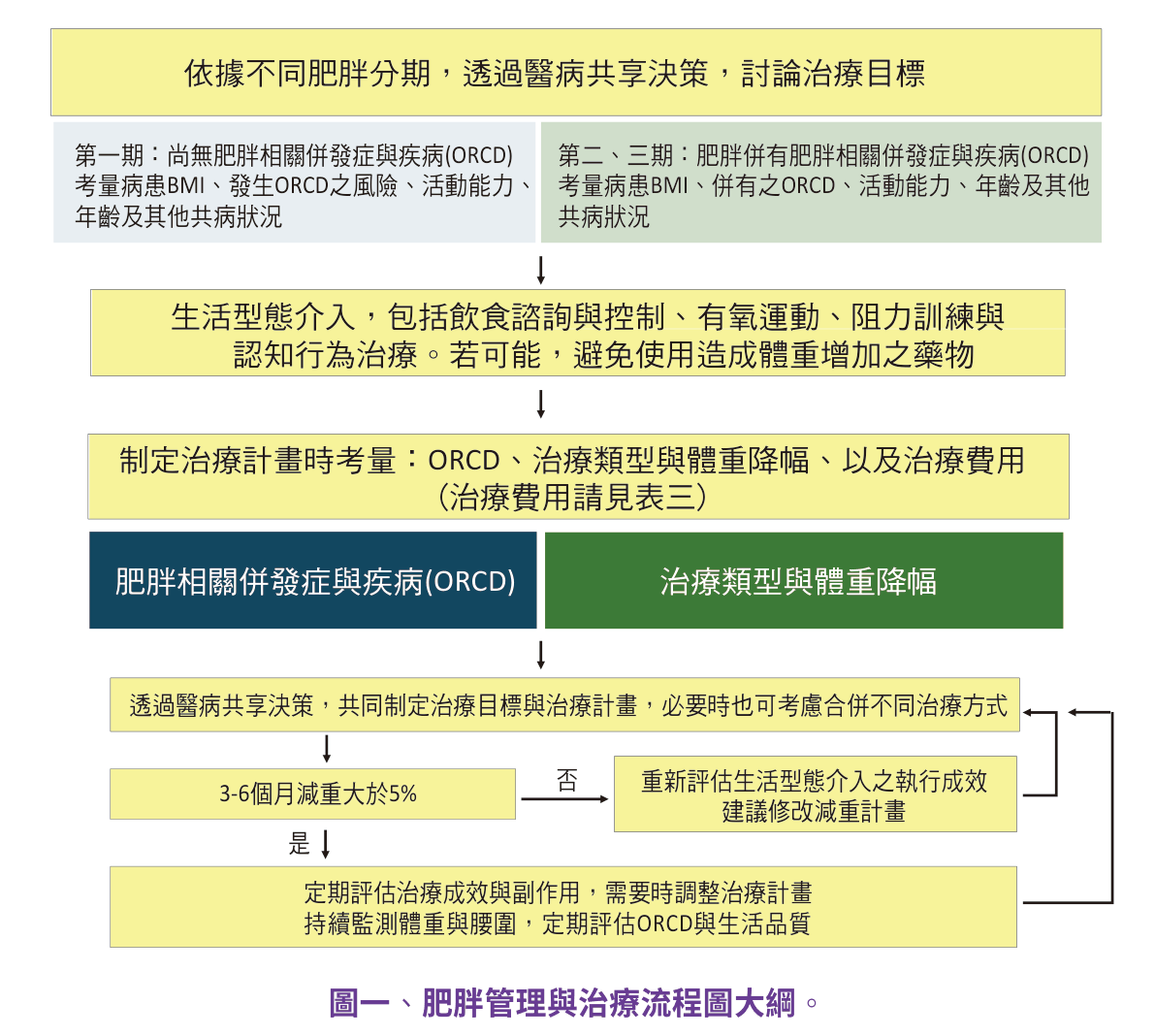 原文圖：肥胖管理與治療流程圖大綱