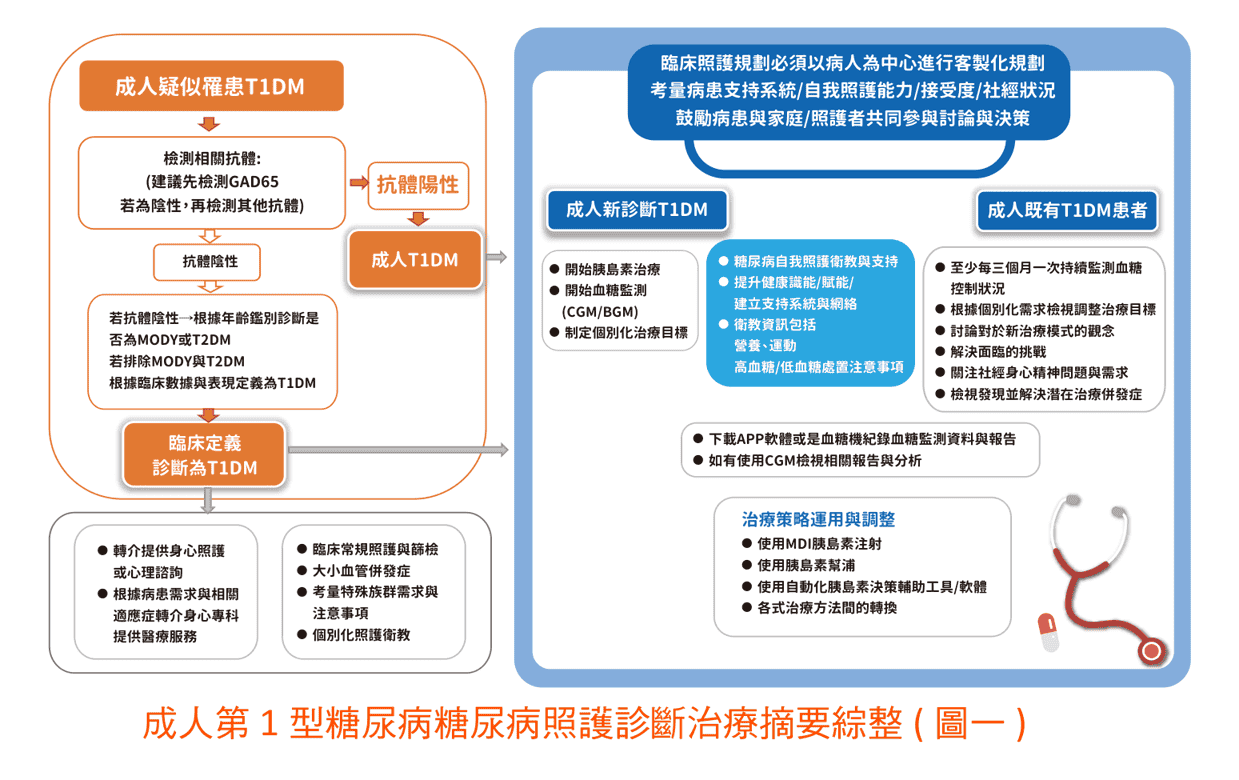 原文圖：成人第1 型糖尿病糖尿病照護診斷治療摘要綜整