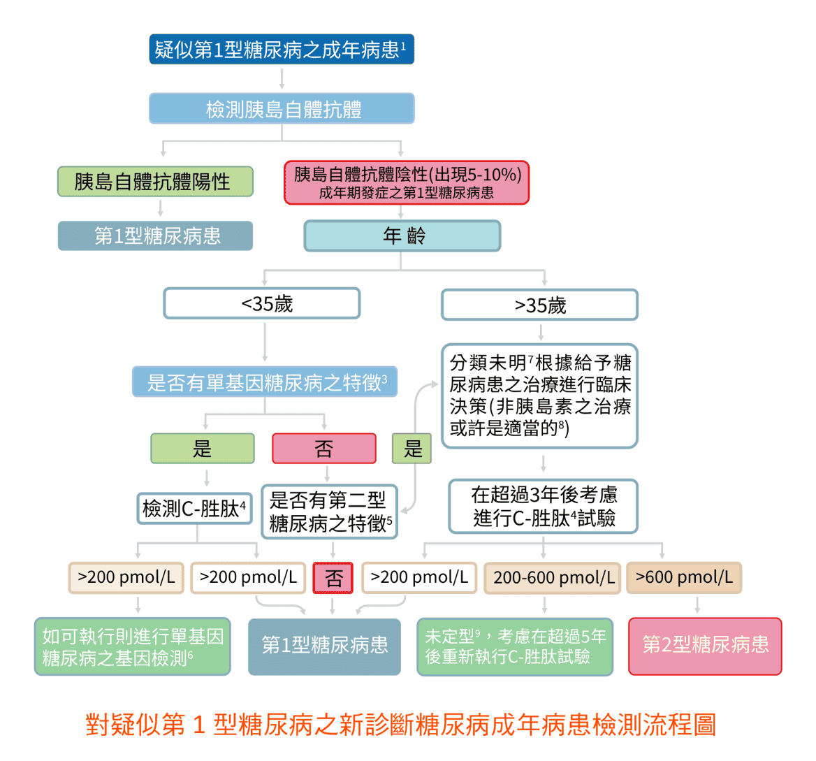 原文圖：對疑似第 1 型糖尿病之新診斷糖尿病成年病患檢測流程圖