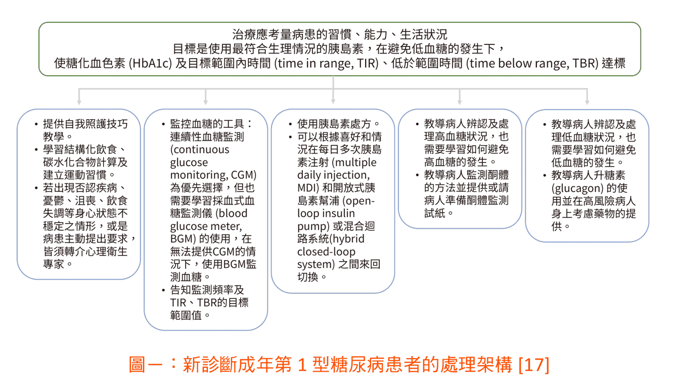 原文圖：新診斷成年第 1 型糖尿病患者的處理架構