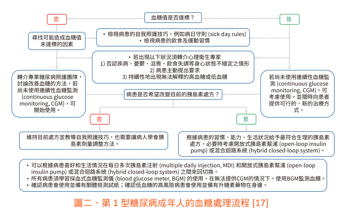原文圖：第 1 型糖尿病成年人的血糖處理流程