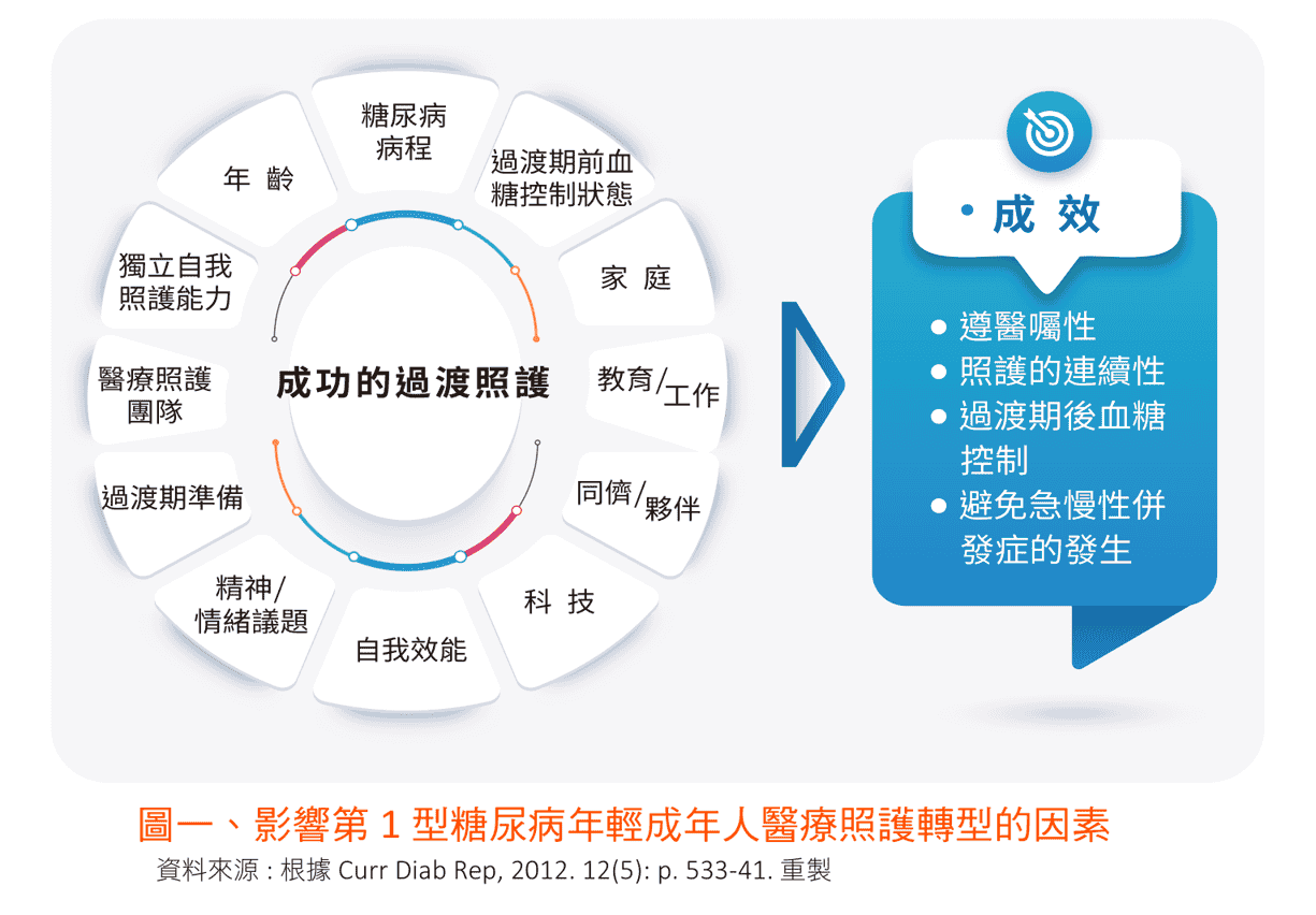 原文圖：影響第 1 型糖尿病年輕成年人醫療照護轉型的因素